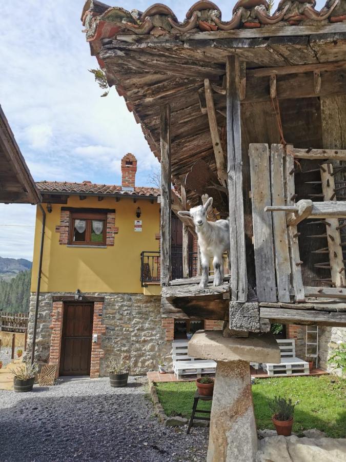 OnísCarroceu Ruralアパートメント エクステリア 写真
